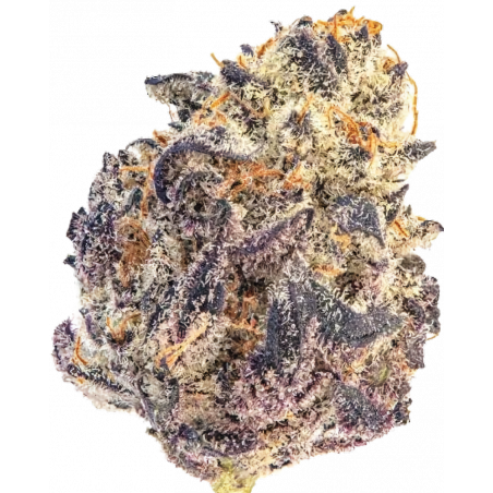 Cherry Mac Muffin Cannabis-Samen – Indica-Hybrid mit fruchtigem Kirsch-Aroma und hohem THC