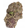 Ultra Violet GMO Cannabis-Samen – Indica-Hybrid mit würzig-fruchtigem Aroma und hoher Potenz