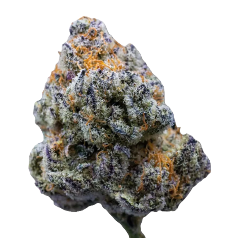 Platinum Mimosa Cookies Double XL Auto Cannabis-Samen mit fruchtigem Aroma und XXL-Ertrag