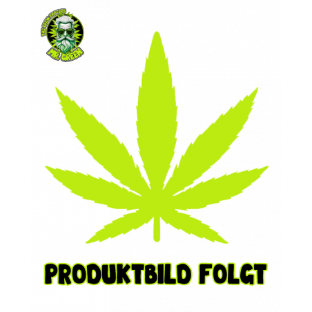 White Shark Cannabis Samen – Indica-dominant mit erdigem Skunk-Aroma und hoher Harzproduktion Bei Mr. Green online kaufen.