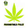 White Shark Cannabis Samen – Indica-dominant mit erdigem Skunk-Aroma und hoher Harzproduktion Bei Mr. Green online kaufen.