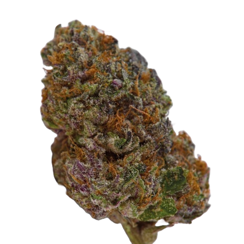 Blue Dream Sherbet Autoflower Cannabis Samen – fruchtig-süßes Aroma & kreatives High. Bei Mr. Green online kaufen.