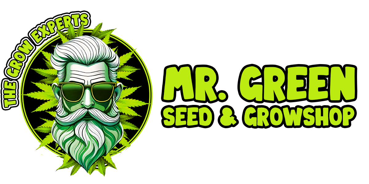 Mr. Green Cannabissamen